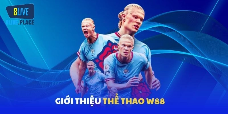 Tham gia W88 nâng tầm cá cược thể thao của bạn lên một tầm cao mới 
