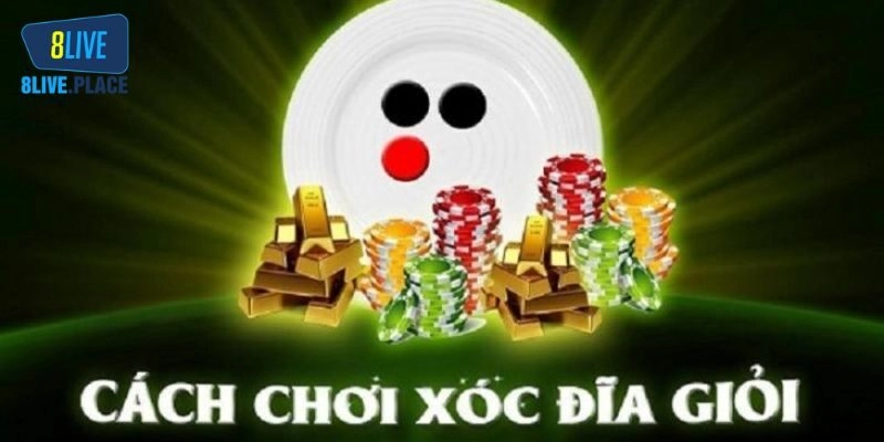 Tổng Hợp Mẹo Chơi Xóc Đĩa Thắng Lớn Cho Tân Binh 8live